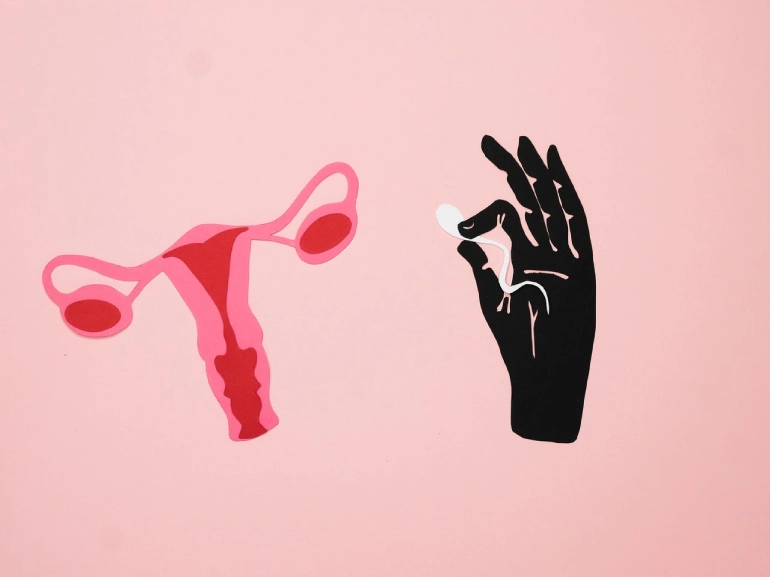 Illustration of fertility