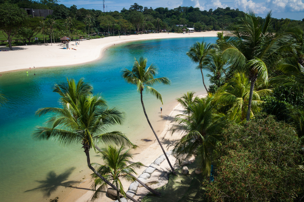 White sand beach lined with coconut trees and clear blue waters.