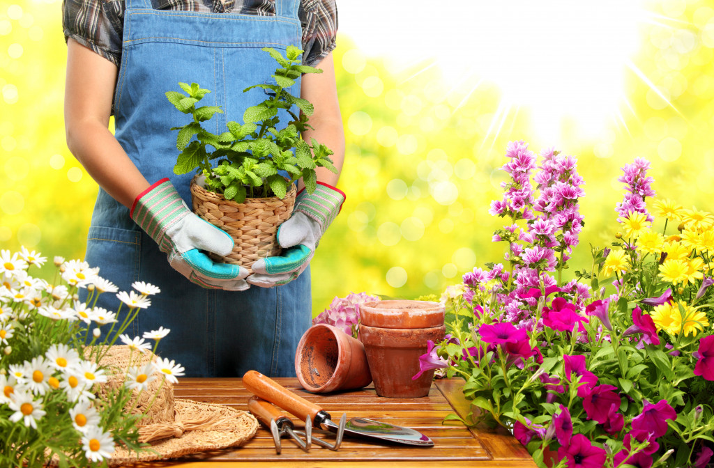 Gardener arranging her plants