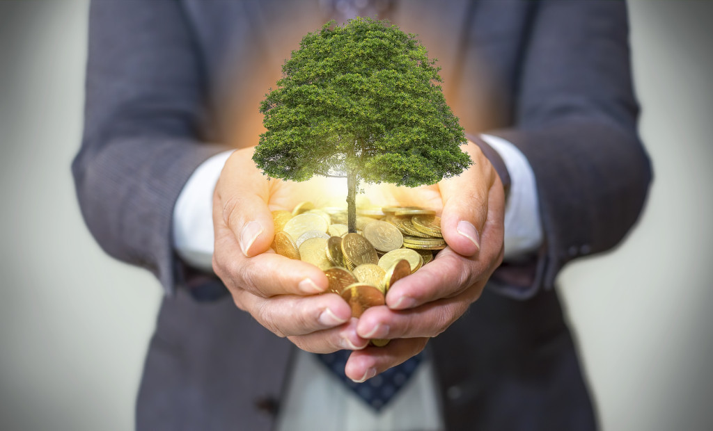 A concept photo of a corporate executive holding a pile of coins with a tree growing in it